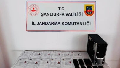 Şanlıurfa'da 'Suç örgütü'ne darbe!