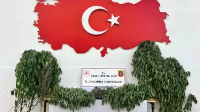 Şanlıurfa’da Uyuşturucu Baskını
