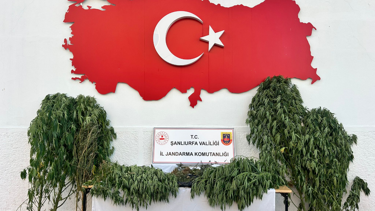 Şanlıurfa’da Uyuşturucu Baskını