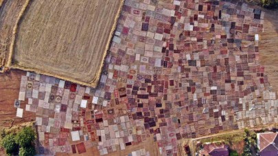 Tarlalarda milyonluk halı nöbeti başladı