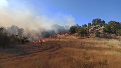 Orman yangını korkuttu
