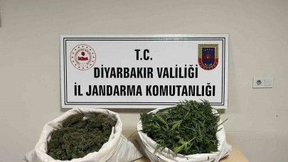 8 kilo esrar ele geçirildi