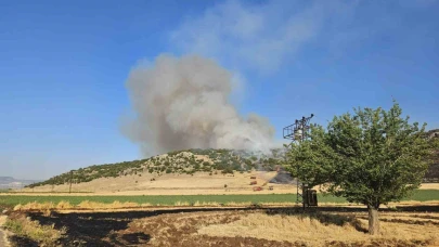 Anız yakarken suçüstü yakalanan şahsa 47 bin TL ceza