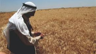 Desteklemeler hesaplara yattı