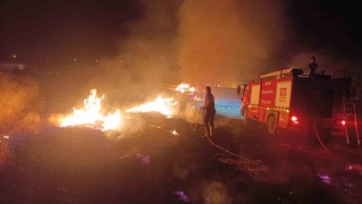 Anız yangınında ağaçlar, direkler ve kablolar zarar gördü