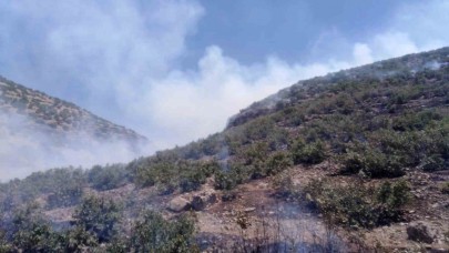 Ormanlık alanda çıkan yangına müdahale sürüyor