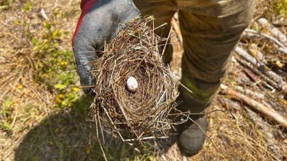 Yangından Çıkan Mucize