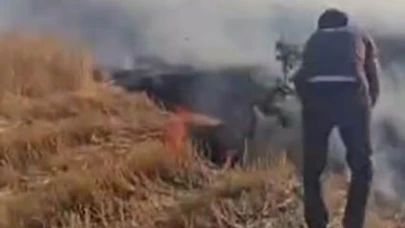 Vatandaşlar ağaç dallarını kopararak yangını söndürmeye çalıştı