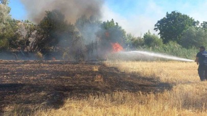 Balya makinesinden çıkan kıvılcım 200 dönümü yaktı