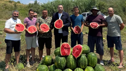Alın terim bana zehir, onlara kazanç oldu!
