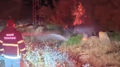 600 dönümlük ormanlık alan küle döndü