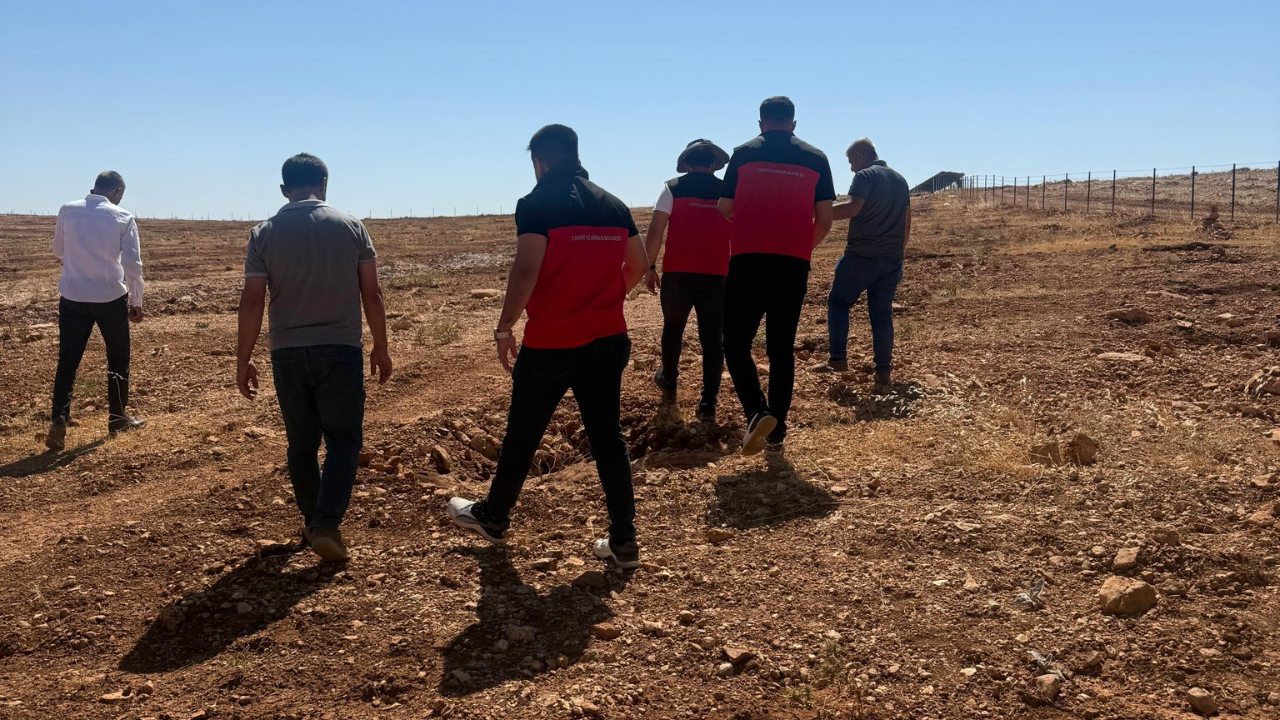 Şanlıurfa'da çekirge istilası