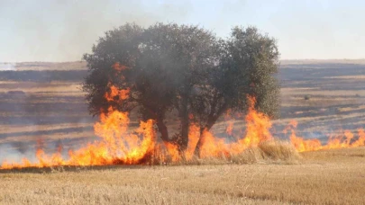 Şanlıurfa Valisi’nden Sıcak Hava ve Yangın Uyarısı