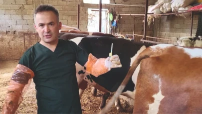 Şanlıurfa'da kısırlık tedavisi için yeni umut