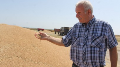 Hububat verimi üreticinin yüzünü güldürdü