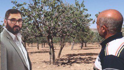 Şanlıurfa Keten Köyneği fıstığı ilginizi  bekliyor