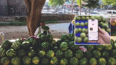 Şanlıurfalı, 'Yapay zeka'ya karpuz seçtirdi. İşte sonuç