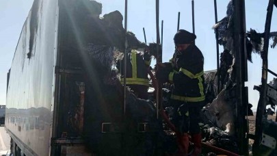 Siverek’te alev alan gıda yüklü tır, tamamen yandı