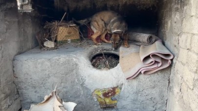 Ekmek tandırında uyuşturucu ele geçirildi