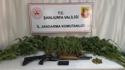 Şanlıurfa’da 3 İlçede Zehir Yuvaları Çökertildi