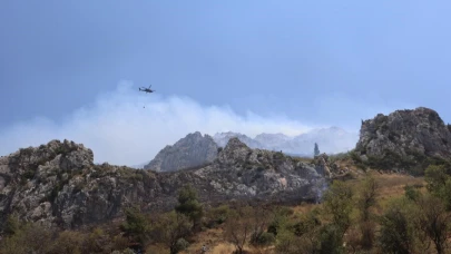 Hatay’da orman yangını
