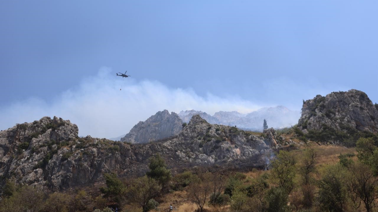 Hatay’da orman yangını