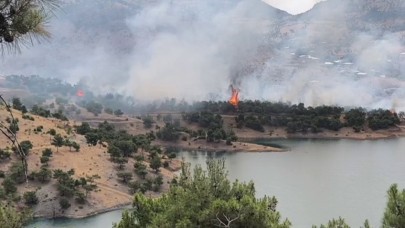 Ormanlık alanda yangın