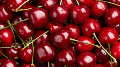 Zirai don kirazı vurdu, geçen yıla göre 61 bin ton ihracat kaybı yaşandı