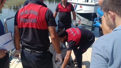 Fırat Nehri’nde sürüklenen ceset ekipleri harekete geçirdi