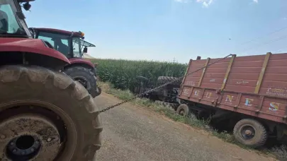 Traktör mısır tarlasına devrildi