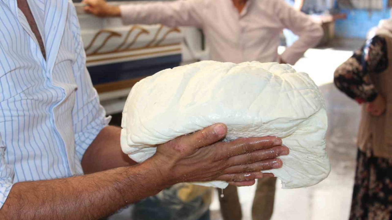 Türkiye’nin dört bir yanından yoğun ilgi