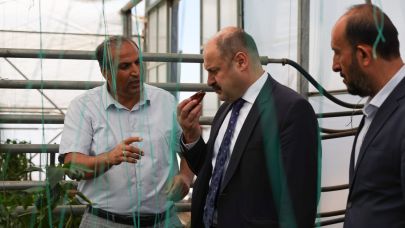 Şanlıurfa’da Ata Tohumu Devrimi!