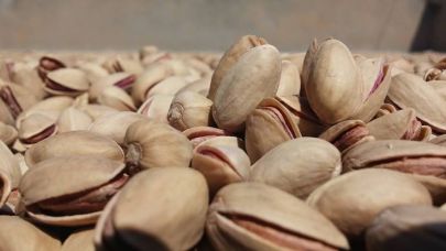 Şanlıurfa’da Fıstık Fiyatına Rekor Zam!