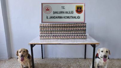 Şanlıurfa’da Kaçakçılara Nefes Aldırılmıyor!