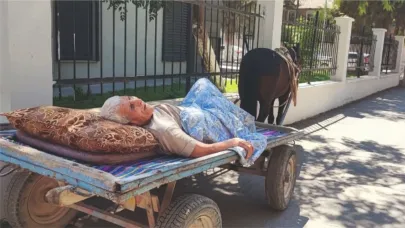 Görenlerin vicdanı sızladı