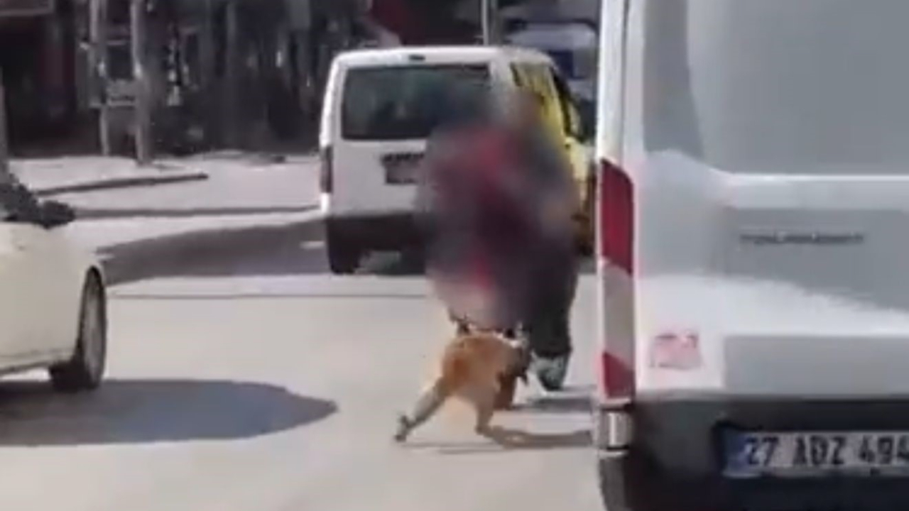 Motosikletin arkasına bağladıkları köpeği sürükleyerek götürdüler