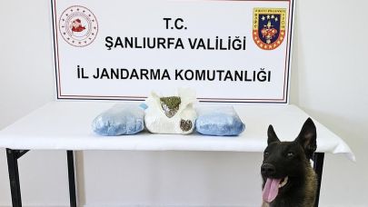 Şanlıurfa'da Uyuşturucu Operasyonu