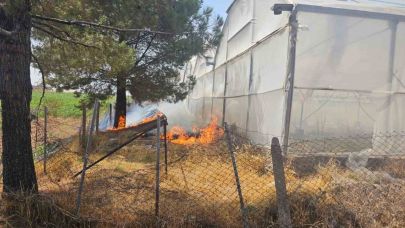 Otluk alanda çıkan yangın söndürüldü