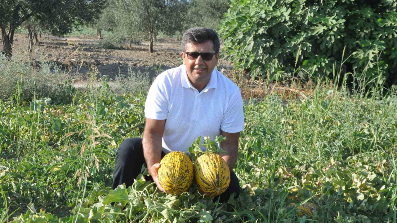 Kırkağaç Kavunu AB’den tescil alan 38. ürün oldu