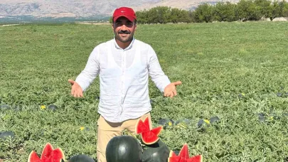 Karpuz ve kavun hasadı yüz güldürüyor