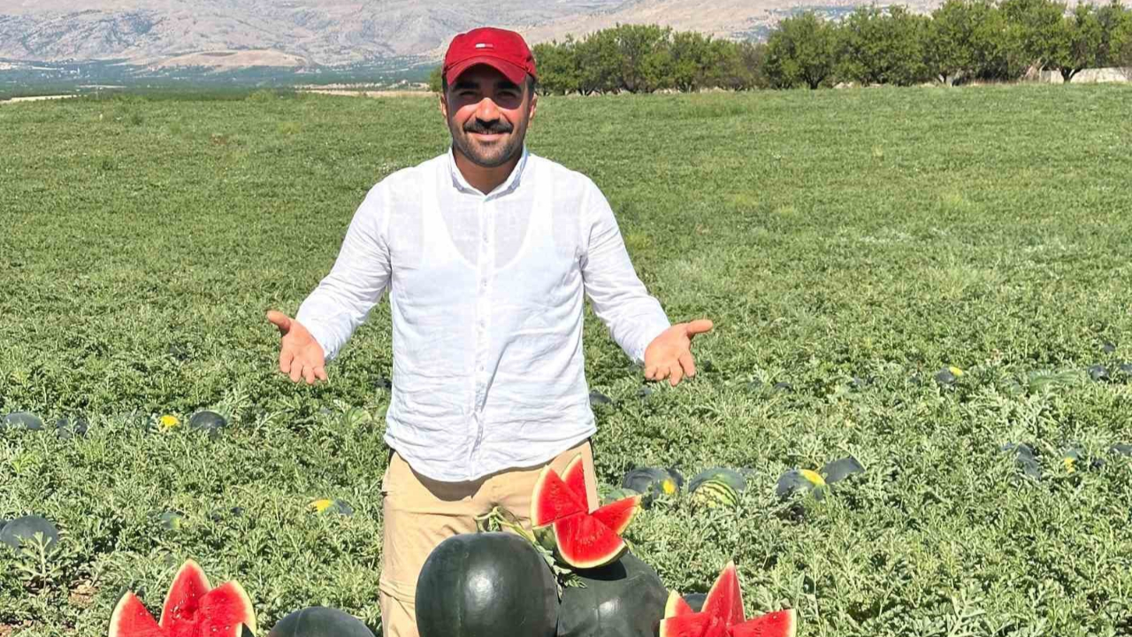 Karpuz ve kavun hasadı yüz güldürüyor