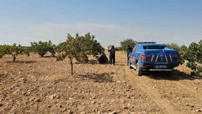 Antep fıstığı hasadı yaparken fenalaşan işçi hayatını kaybetti