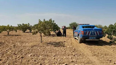 Antep fıstığı hasadı yaparken fenalaşan işçi hayatını kaybetti