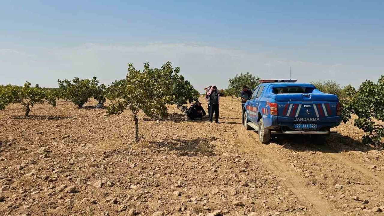 Antep fıstığı hasadı yaparken fenalaşan işçi hayatını kaybetti