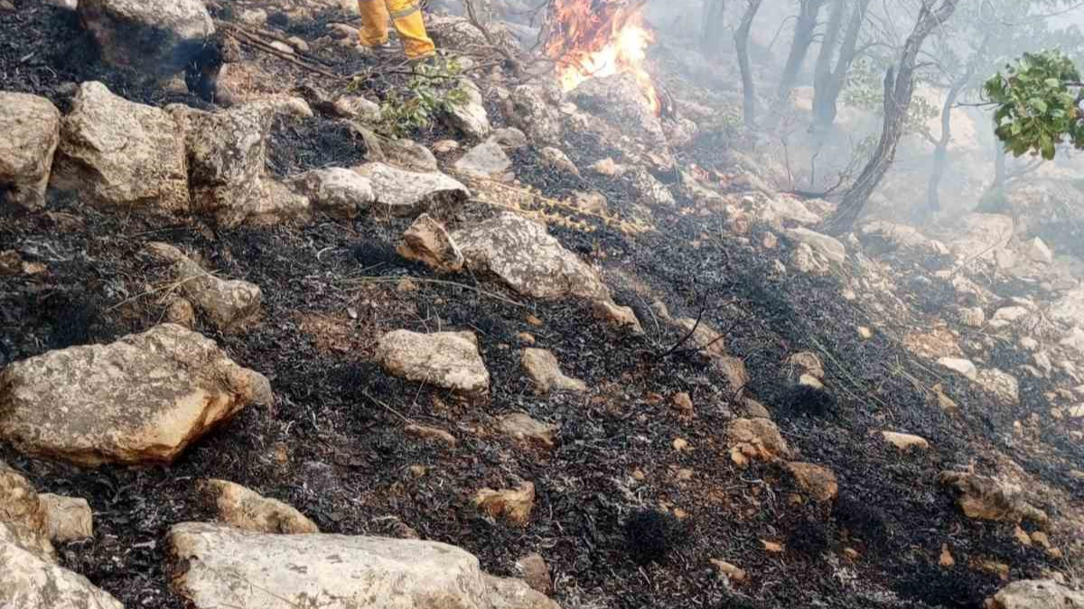 Orman yangınına helikopter destekli müdahale sürüyor