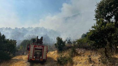 Çıkan orman yangınına 9 saattir müdahale devam ediyor