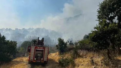 Çıkan orman yangınına 9 saattir müdahale devam ediyor