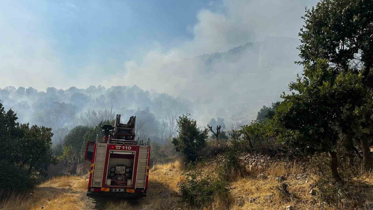Çıkan orman yangınına 9 saattir müdahale devam ediyor