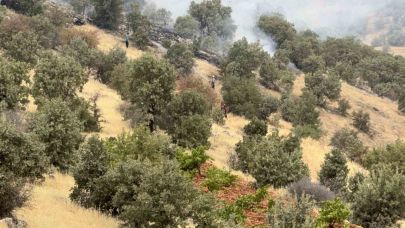 Örtü ve orman yangında bin dönüm alan zarar gördü