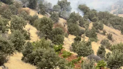 Örtü ve orman yangında bin dönüm alan zarar gördü
